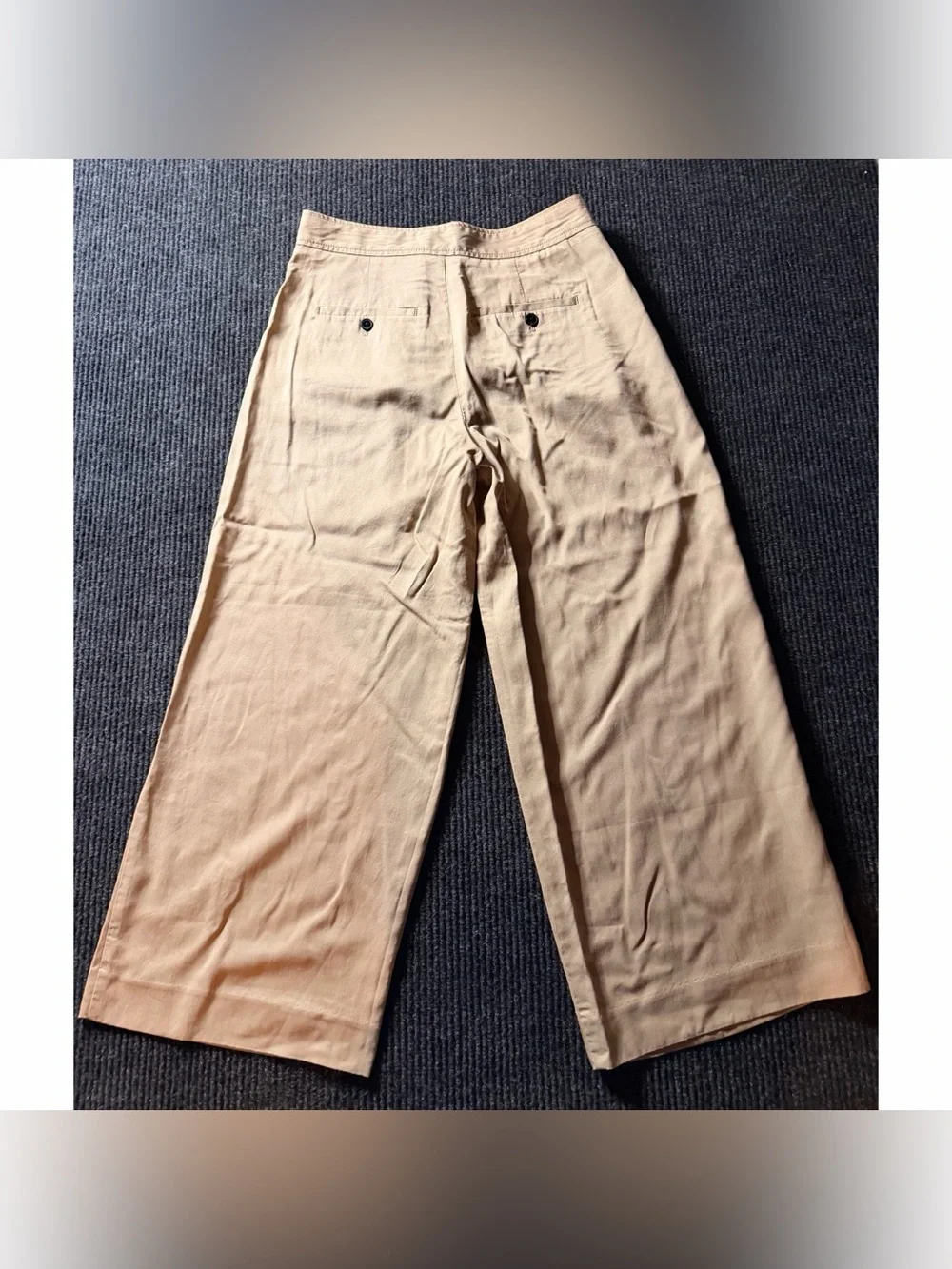 Banana Republic High Rise Wide Leg Pleated Pants Beige Sand Dune Size 8 NWT